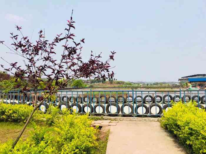 友军生态园-"在合川城郊大约30公里,快到涞滩古镇了,.