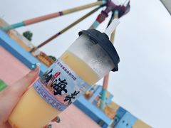 -秦皇岛乐岛海洋王国