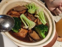 日式花菇豆腐煲-T館·花园艺术餐厅