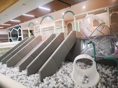 -碧中海汤泉汗蒸酒店