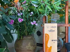 -唐咖精品咖啡(大理古城手冲店)