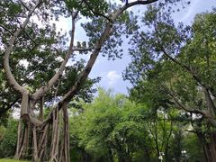 -晓港公园
