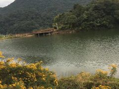 -广州市石门国家森林公园