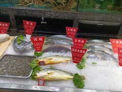 -宝燕壹号(徐汇店)