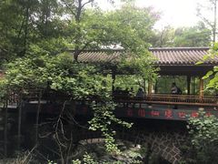 -藏龙百瀑风景区