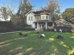 -J Create城市露营咖啡·简餐·宠物(上海动物园店)