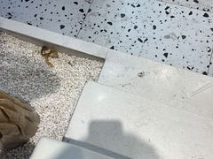 -KUNCHA鲲茶·江西制茶(铜锣湾店)
