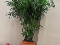 -第六季自助餐厅(甜水园店)