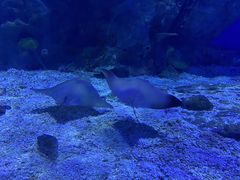 -海合安武汉极地海洋公园