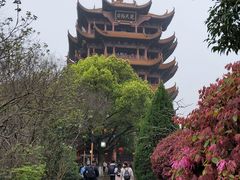 -黄鹤楼公园(黄鹤楼)