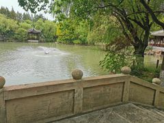 -瀛洲公园