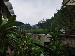 -Local泰莲庭(虹鳟鱼店)