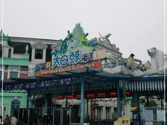 -芜湖新华联大白鲸海洋公园