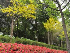 -云溪植物园
