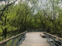 -西湖风景区-江洋畈生态公园