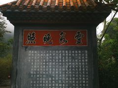 -靖西鹅泉风景区