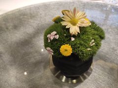 -南堂馆·新川菜(天府三街店)