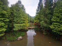 -云溪植物园