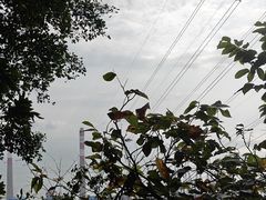 -小南山公园