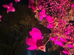 -青岛鑫江温德姆酒店