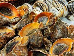 -77号渔船·蒸海鲜青岛菜(积米崖店)