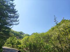 -大连天门山国家森林公园