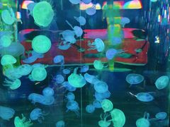 -顺德南宏海立方海洋公园