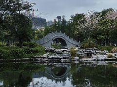 -四海公园(南山区)