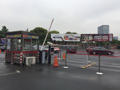 -大宁郁金香公园-停车场