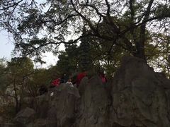 -文瀛公园
