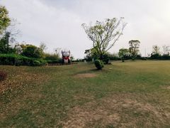 -上海崇明金茂凯悦酒店