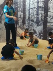 -恐龙探索乐园(磁器口店)