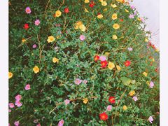 -普陀山风景名胜区-法雨禅寺
