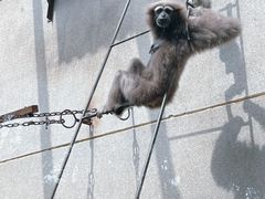 -昆明动物园