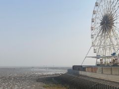 -奉贤海滩