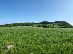 -白草畔自然风景区