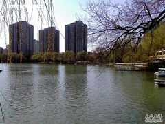 -紫竹院公园冰场