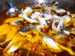 -雲蜀龙阁·金牌水煮鱼(方庄店)