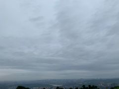 -铁山坪森林公园