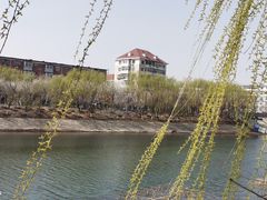-桃花堤公园