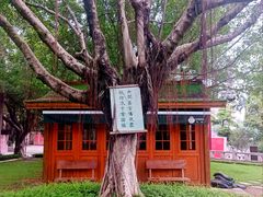 -南普陀寺