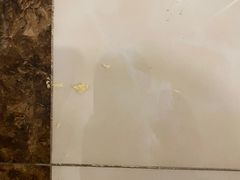-天鹅到家·保姆月嫂育儿嫂(总店)