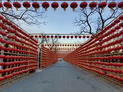 -北京凤凰岭