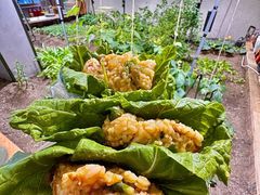 -蘸小院铁锅炖·蘸酱菜·东北菜(怀远门店)