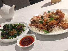 -詠春园