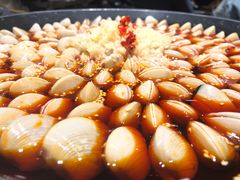 -水哥卜卜贝(东晓·胜汇里店)