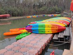 -上海海湾国家森林公园