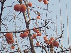 -梅兰芳纪念馆