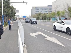 -皇粮浜湿地公园