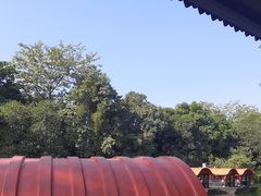 -侨美·唐荔园·40年地道粤菜